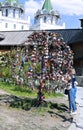 Traditional wedding locks on metallic tree in Moscow